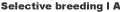 SB1A