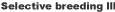 SB3