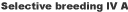 SB4A